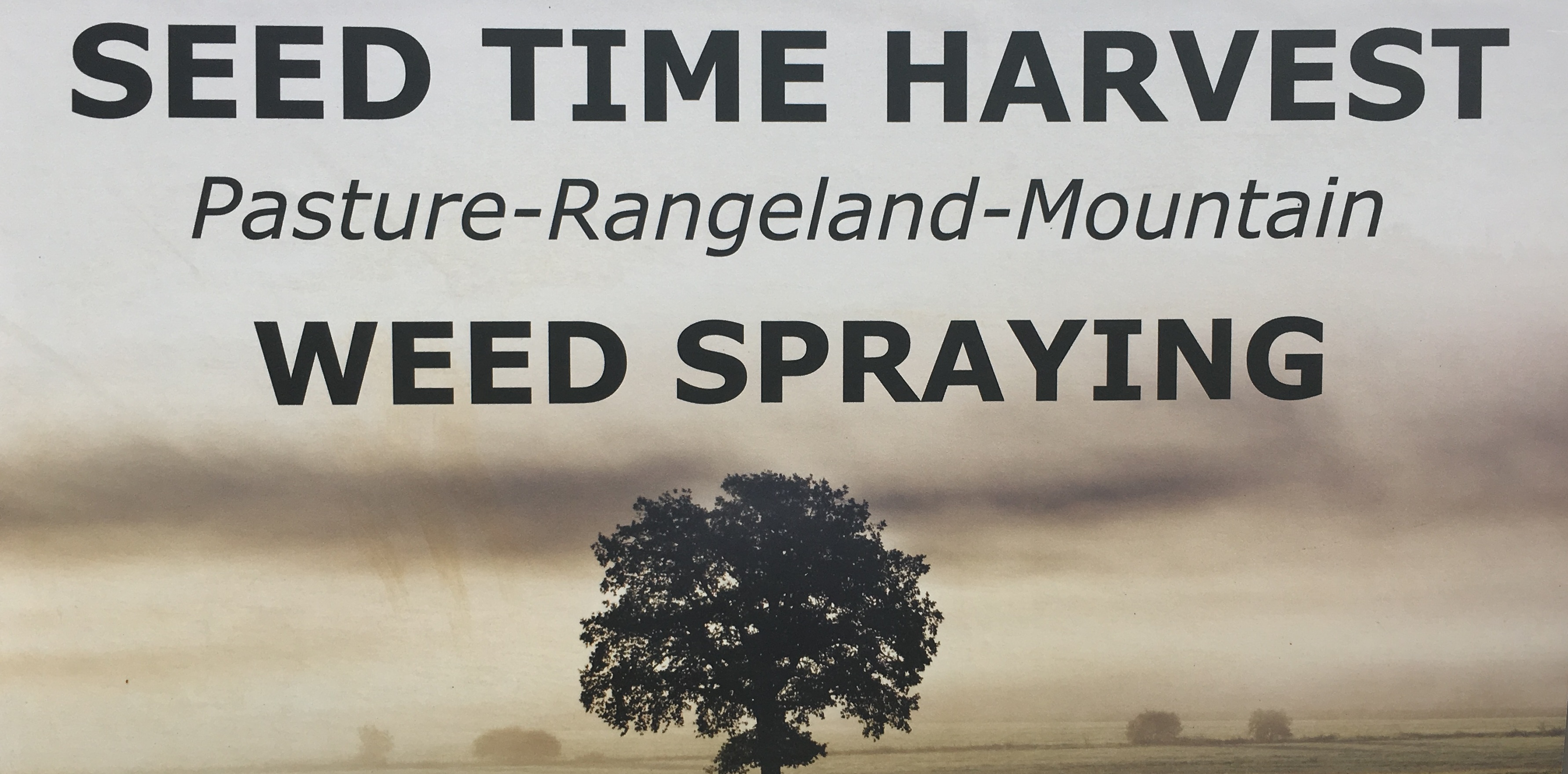 Seed Time Harvest – Weed Spraying